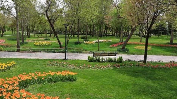 رشد سرانه فضای سبز همدان به بیش از ۱۱ مترمربع