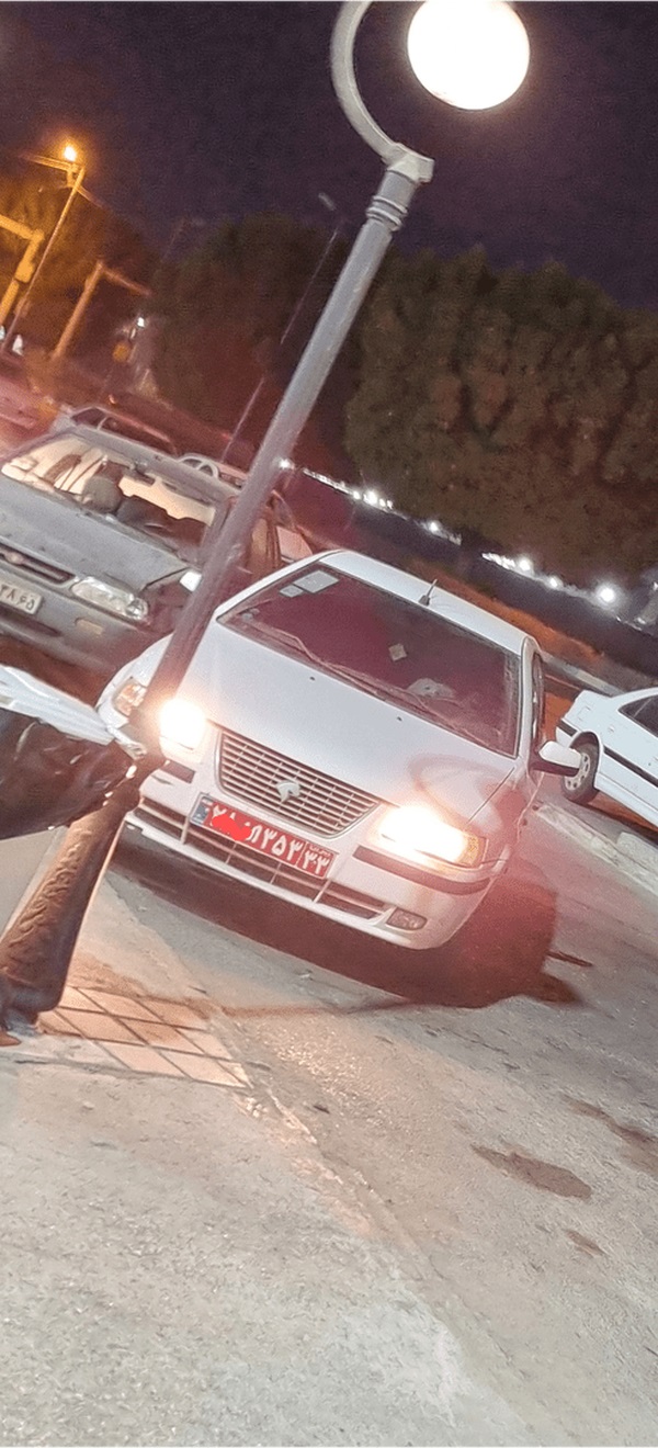 دادستان: برای عامل سگگردانی با خودروی دولتی پرونده قضایی تشکیل شد