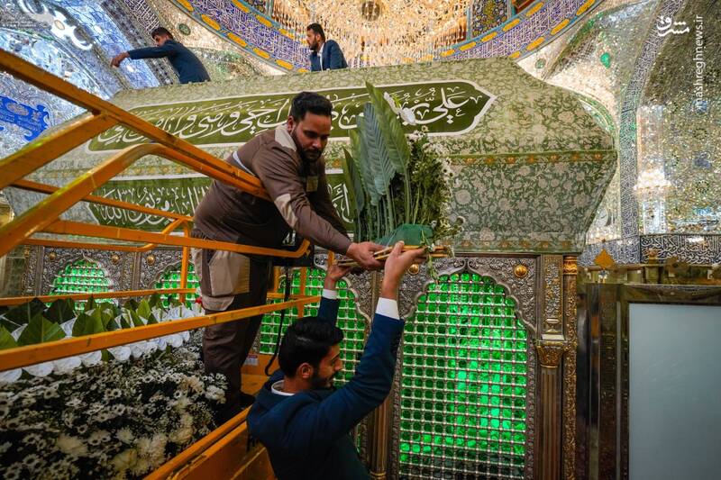 عکس/ گل‌آرایی ضریح امیرالمومنین برای ولادت عقیله بنی هاشم