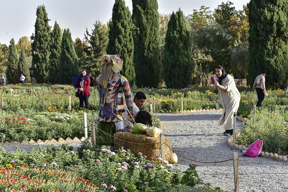 نمایشگاه گل های داوودی در باغ گیاه شناسی ملی ایران