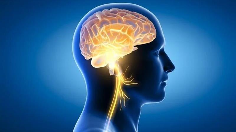 بیماری لثه خطر آسیب مغزی را افزایش میدهد