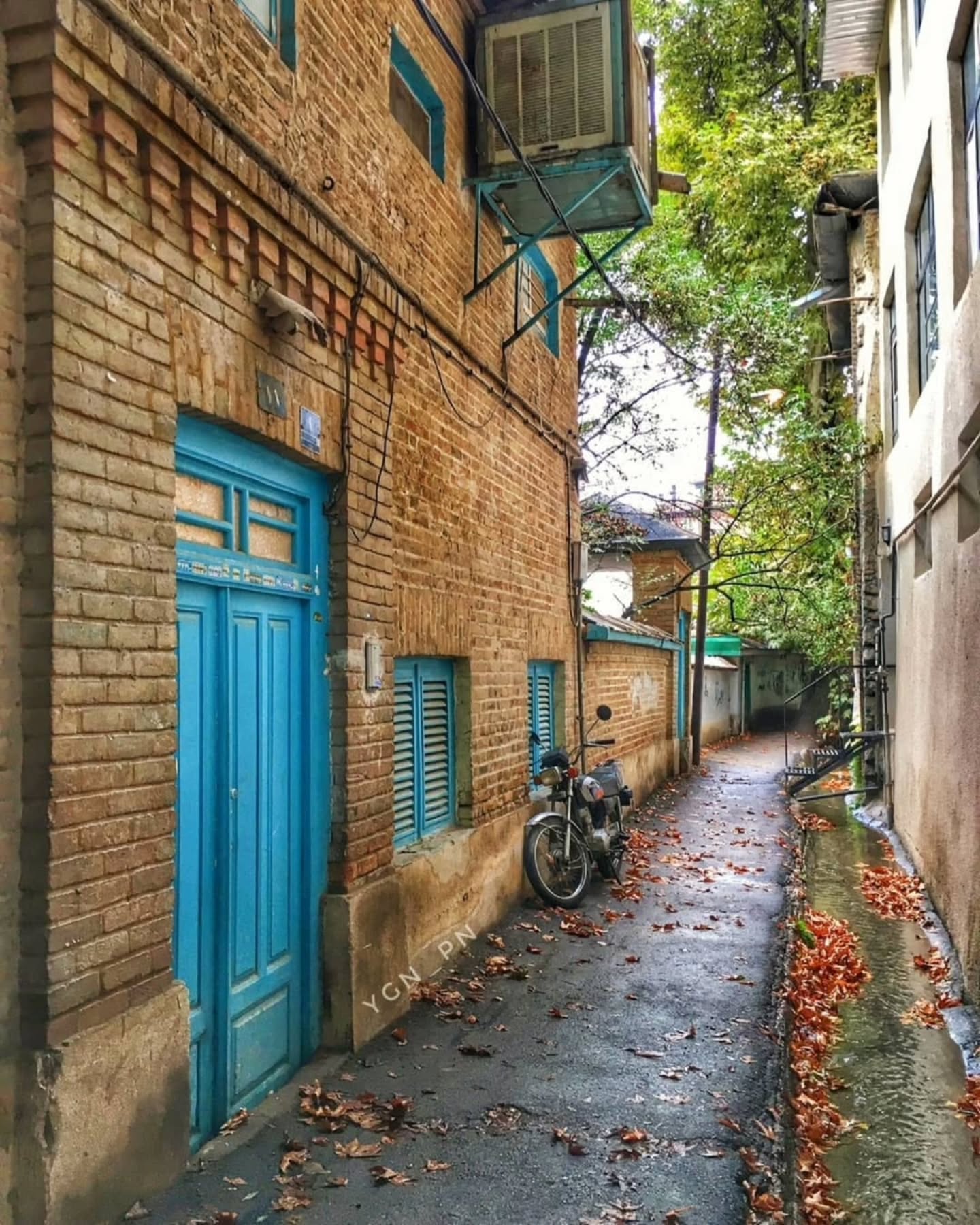تصاویری رویایی از پاییز در درکه