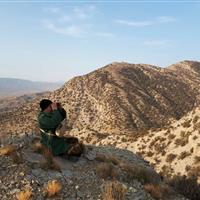 آغاز سرشماری پاییزه پستانداران در خراسان شمالی / پایش گسترده حیاتوحش در مناطق چهارگانه استان