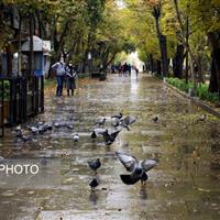 افزایش ۱ تا ۲ درجهای دمای هوا و بارشهای کمتر از نرمال در زنجان