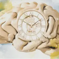 درک زمان در گذر عمر؛ چرا هرچه سن ما بالاتر میرود، روزها سریعتر میگذرد؟