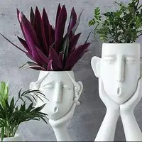 گلدان کجای خانه بهتر رشد می کند؟