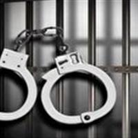 دستگیری صیادان غیربومی در زنجان؛ توقیف هزار متر تور ماهیگیری در عملیات شبانه