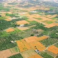تثبیت ۸ هزار هکتار از اراضی غیرملی لرستان