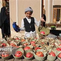 برگزاری جشنواره انار و روستا در روستای تاریخی و هدف گردشگری سریزد