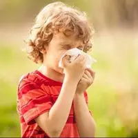 چه مواد خوراکی آلرژی فصلی را تشدید می کند؟