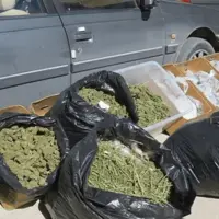 بیش از ۱۸۰ کیلو گرم ماری جوانا در لالی کشف و ضبط شد
