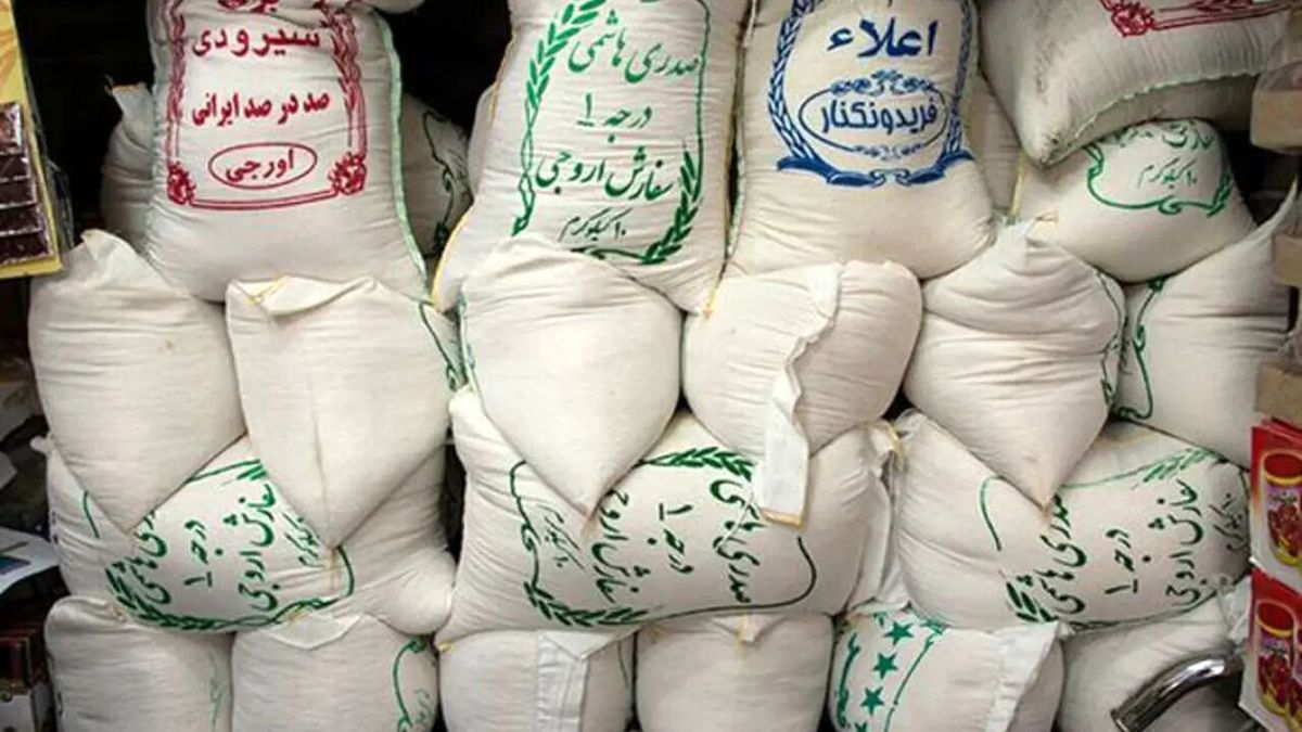 هشدار؛ دلالان میخواهند قیمت برنج را به بالای ۴۰۰ هزار تومان برسانند!