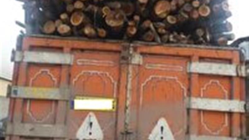 کشف ۹ تن چوب قاچاق در بافق