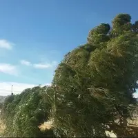 سرعت وزش باد در همدان به ۵۰ کیلومتر رسید