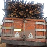 کشف ۹ تن چوب قاچاق در بافق