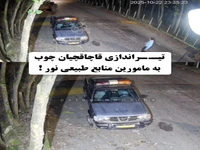 لحظه تیراندازی قاچاقچیان چوب به ماموران منابع طبیعی نور
