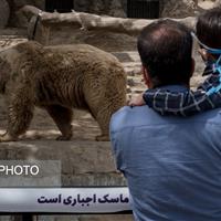 بازدید از باغ وحش ارم ۱۳ آبان رایگان است