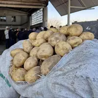 قیمت امروز میوه و ترهبار در مشهد؛ سیبزمینی و پیاز چند؟