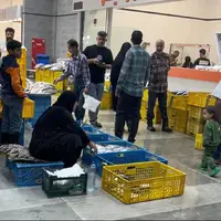 حال و روز ماهیفروشان شیراز یک ماه پس از جابهجایی