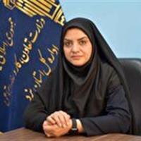 راه‌اندازی سامانه تلفنی دریافت گزارش به‌کارگیری اتباع غیرمجاز