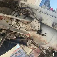 تصاویری از برخورد هواپیمای مسافربری عربستان با دستهای از پرندگان
