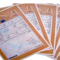 اخذ سند تکبرگ برای ۸ هکتار از اراضی دولتی شهرستان هامون