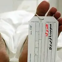آمار مرگهای ناشی از مسمومیت با قرص برنج