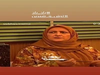 خاطره بازی شهره سلطانی با سریال "ترش و شیرین"