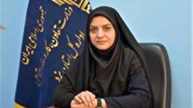 راه‌اندازی سامانه تلفنی دریافت گزارش به‌کارگیری اتباع غیرمجاز