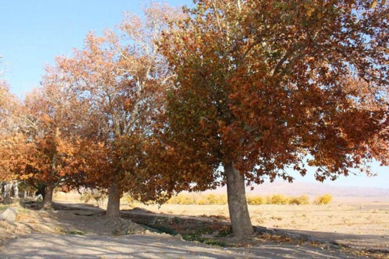 پاییز خشکتر از تابستان؛ بارشها در تهران به کمتر از یک میلیمتر رسید