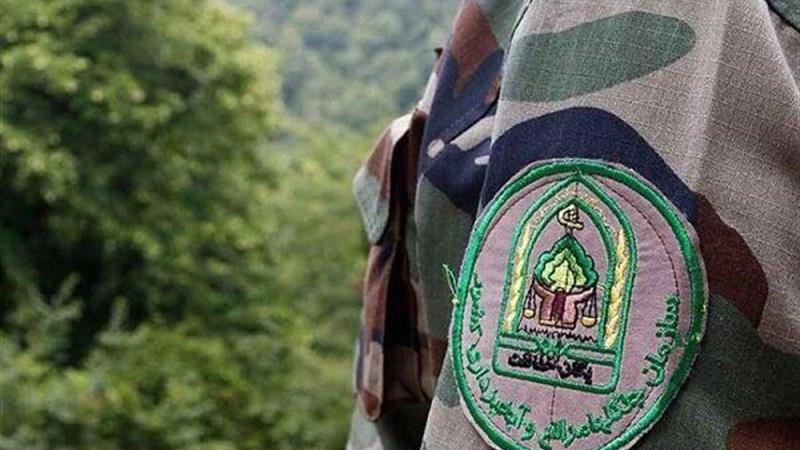 ۹ نفر از جانباختگان اطفای حریق در جنگلهای زاگرس، نشان «فداکار خدمت» دریافت کردند