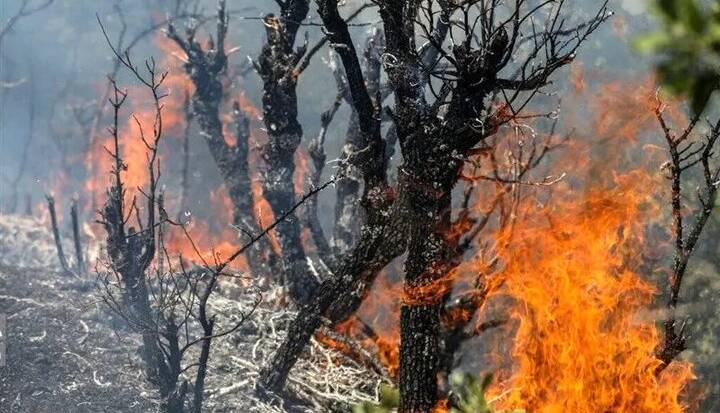 آتشسوزی در منطقه حفاظتشده شیمبار اندیکا مهار شد