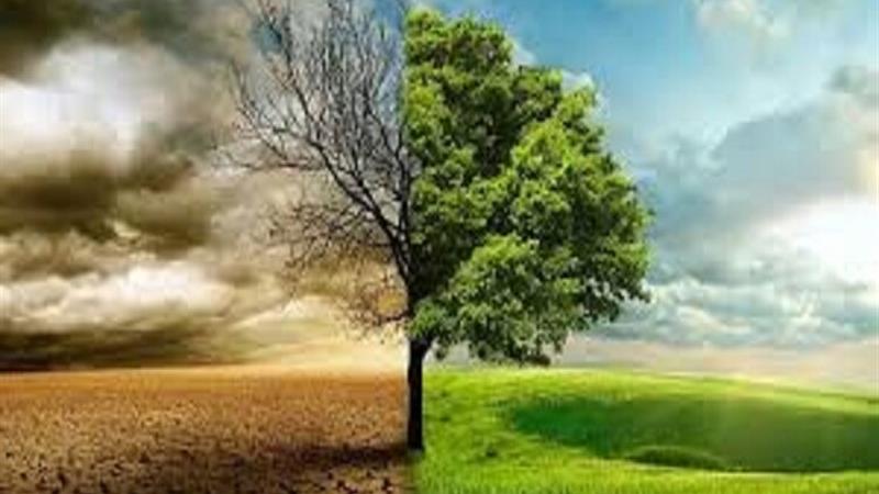 وقتی اقلیم تغییر میکند، کشاورزی باید تطبیق یابد