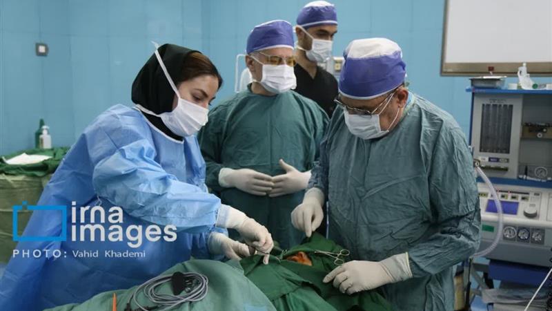 درمان رایگان ۹۸۸ کودک دارای ناهنجاری مادرزادی در خراسانشمالی