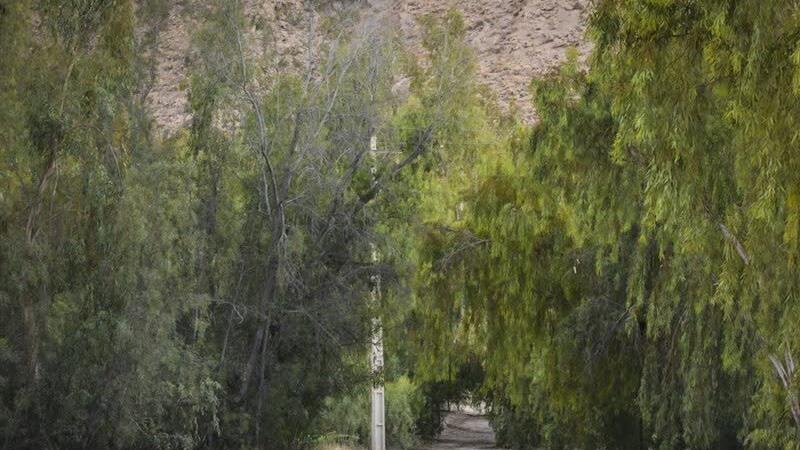 واگذاری مدیریت پارکهای جنگلی به شهرداری باعث حفاظت از جنگلها و جلوگیری از تخریب آنها میشود