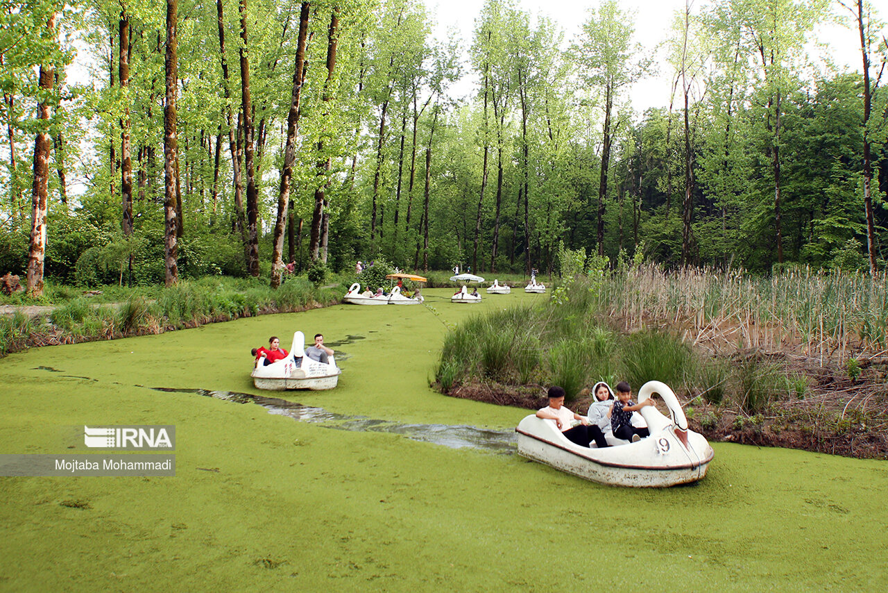 دمای گیلان افزایش مییابد