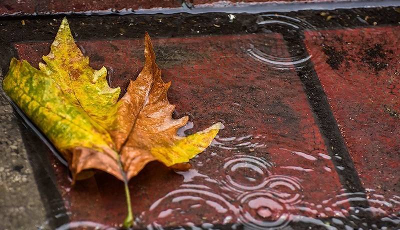 پیشبینی اولین باران پاییزی در خراسان رضوی