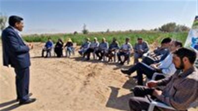 برگزاری نهمین کاروان ترویجی کشاورزی با محوریت کشت کینوا در زارچ