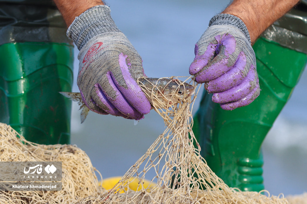 آغاز فصل صید در کاسپین