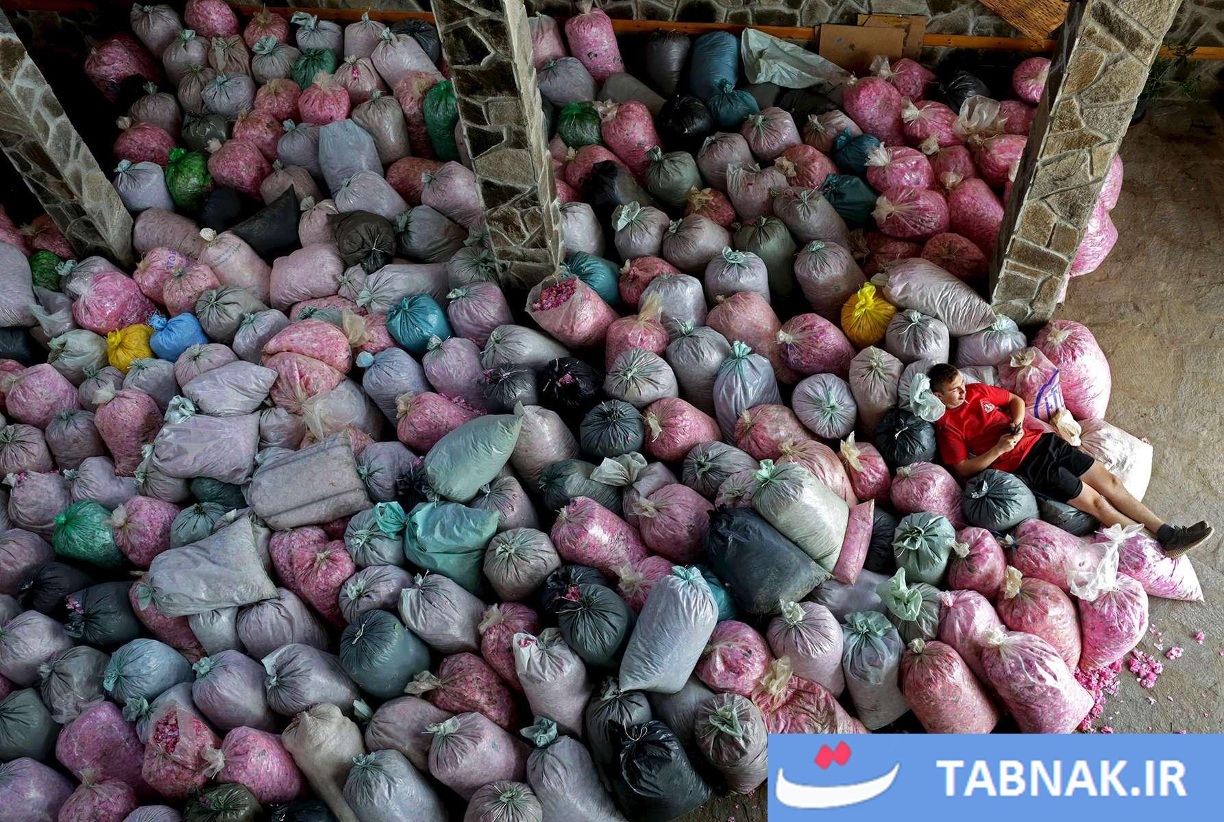طلای مایع در دامنه بالکان