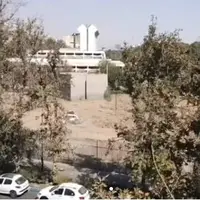ماجرای قطع درختان موزه فرش