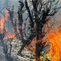 آتشسوزی در منطقه حفاظتشده شیمبار اندیکا مهار شد