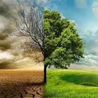 وقتی اقلیم تغییر میکند، کشاورزی باید تطبیق یابد