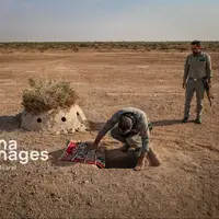 متخلف زندهگیری پرندگان شکاری در دیلم دستگیر شد