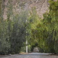 واگذاری مدیریت پارکهای جنگلی به شهرداری باعث حفاظت از جنگلها و جلوگیری از تخریب آنها میشود