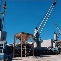 تخلیه محموله گندم وارداتی در بندر بوشهر آغاز شد