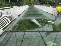 پل شیشهای کوهستانی دانلو