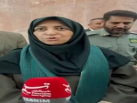 برنامه جدید محیط زیست برای نجات یوزپلنگ ایرانی از انقراض