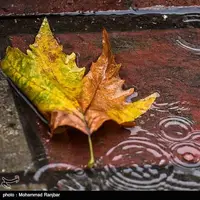 پیشبینی اولین باران پاییزی در خراسان رضوی