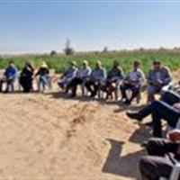 برگزاری نهمین کاروان ترویجی کشاورزی با محوریت کشت کینوا در زارچ